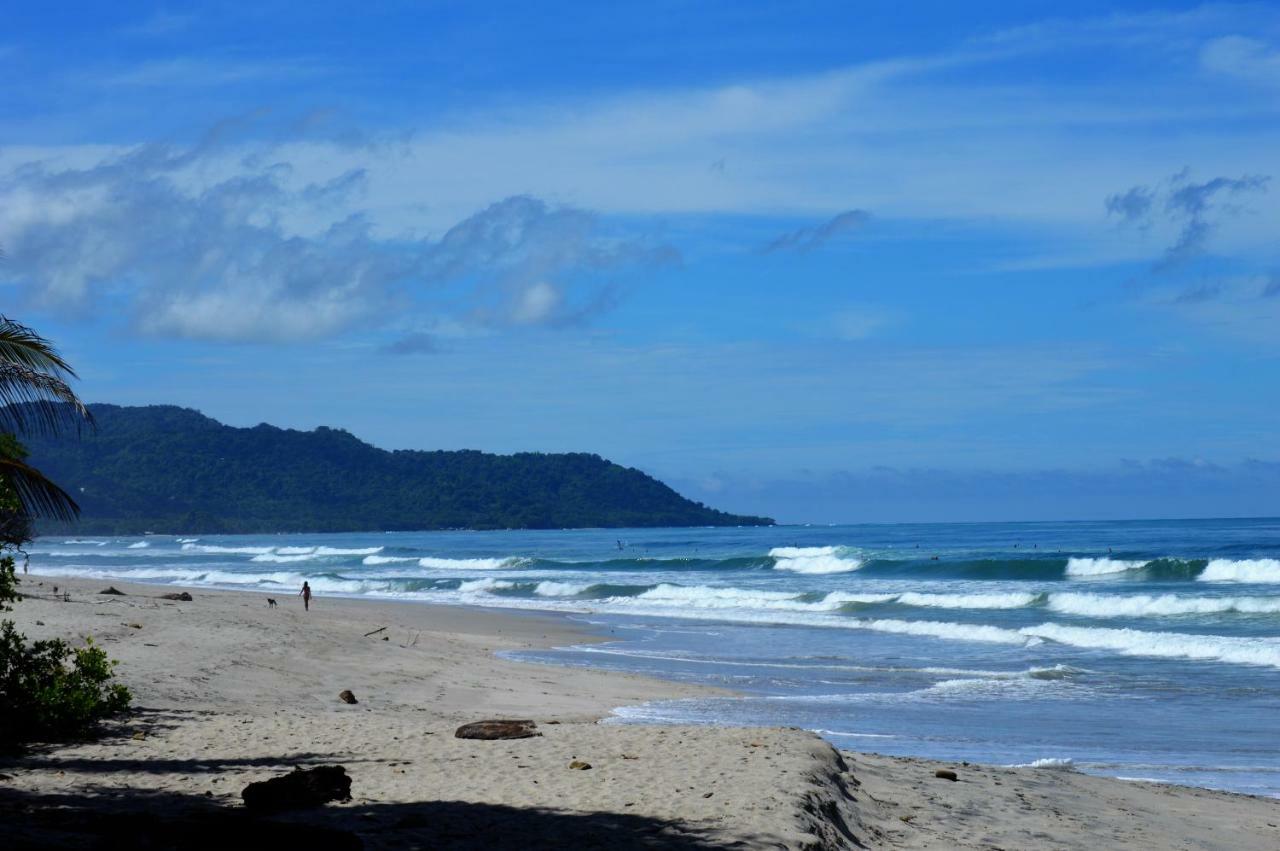 Casa Cecilia Beach Front Playa Santa Teresa  エクステリア 写真