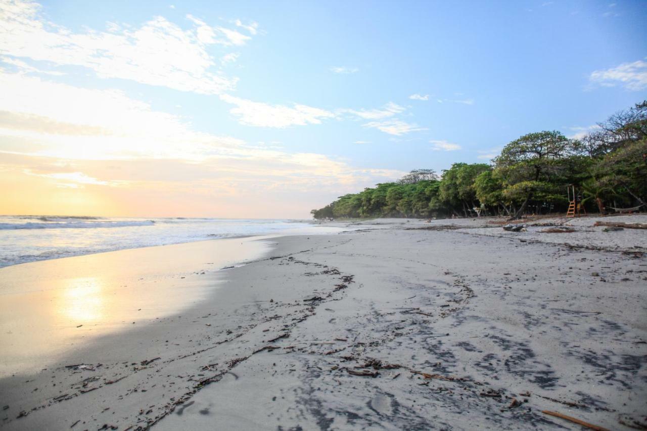 Casa Cecilia Beach Front Playa Santa Teresa  エクステリア 写真